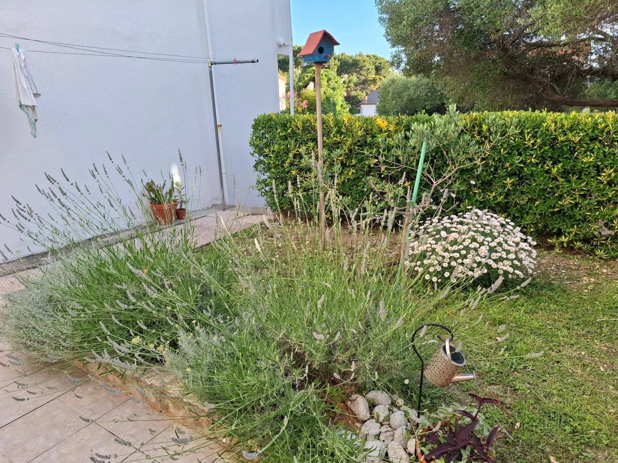 فيلا Little House Kucica Banjol المظهر الخارجي الصورة
